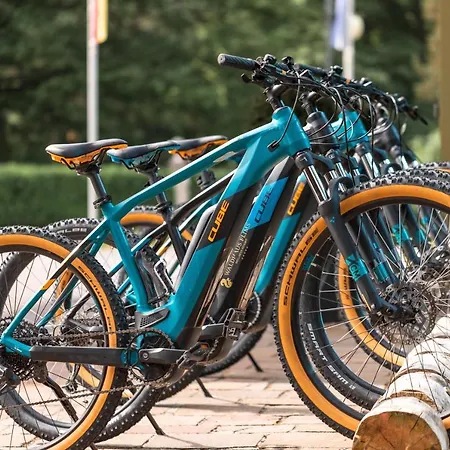 Waldhaus Wellness Resort, Autograph Collection